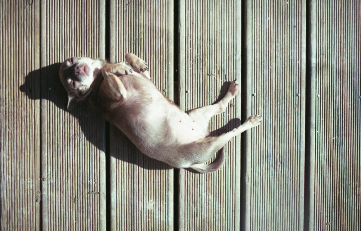 © Jonathan Bertin