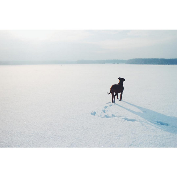 © Agata Wruk / Instagram