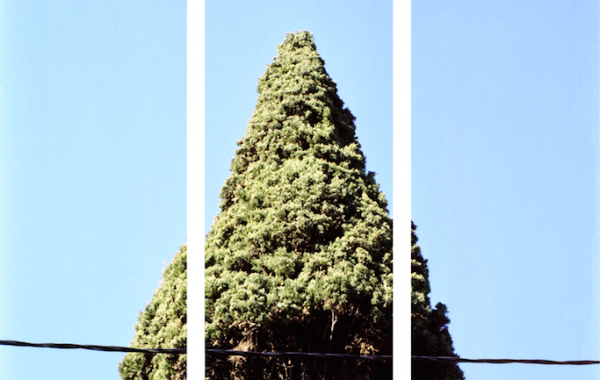 Fisheye Magazine | Le festival de la Photographie de Nice donne carte blanche aux photographes