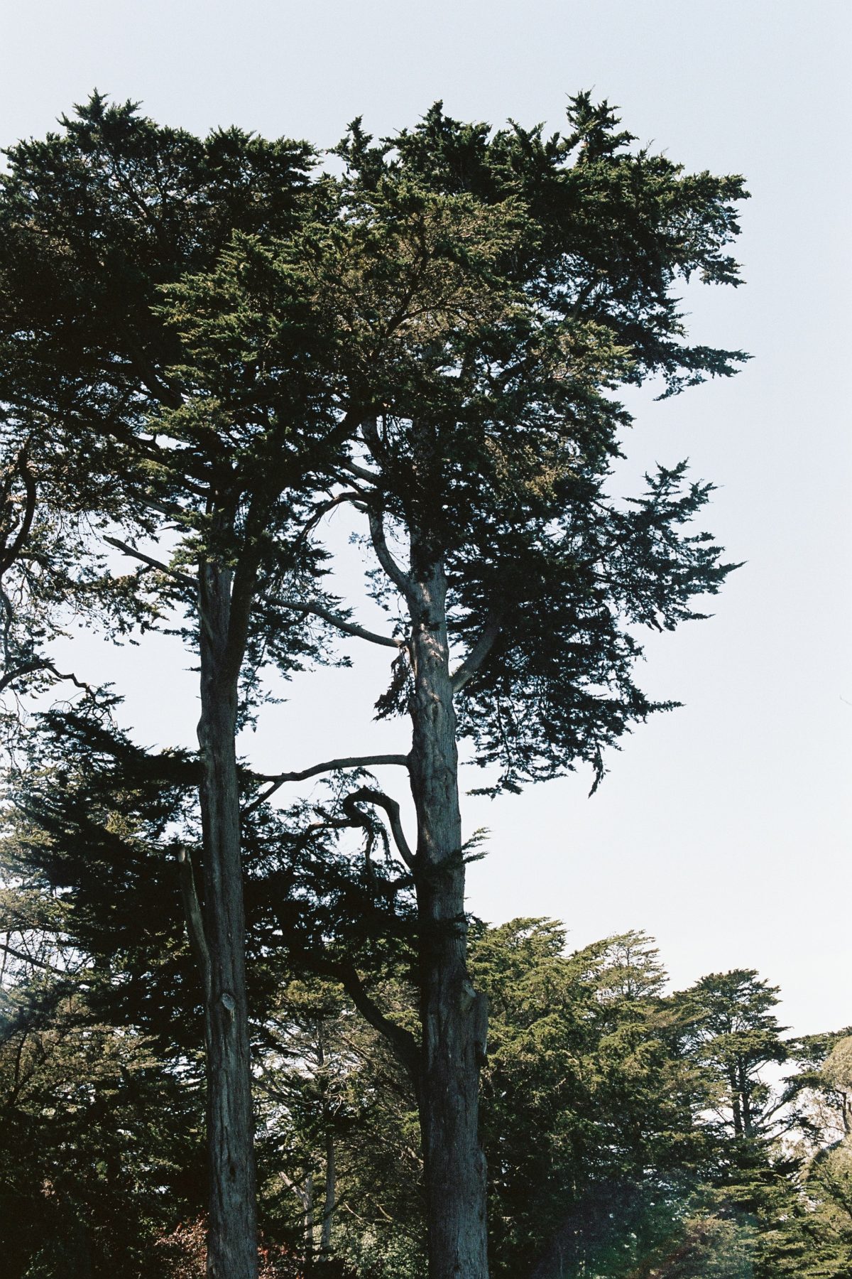 Fisheye Magazine | Neighbourhood & Britta