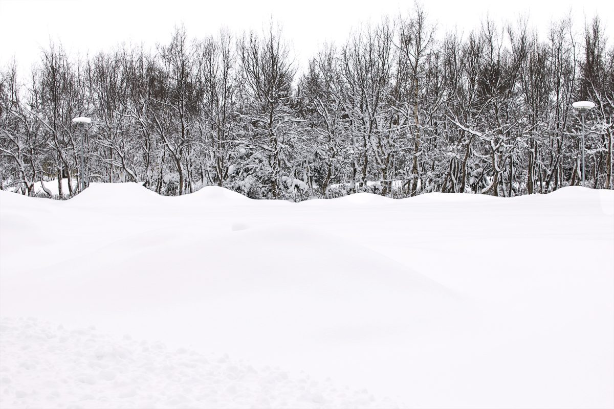 JG_TheWhiteout_11_fisheyelemag