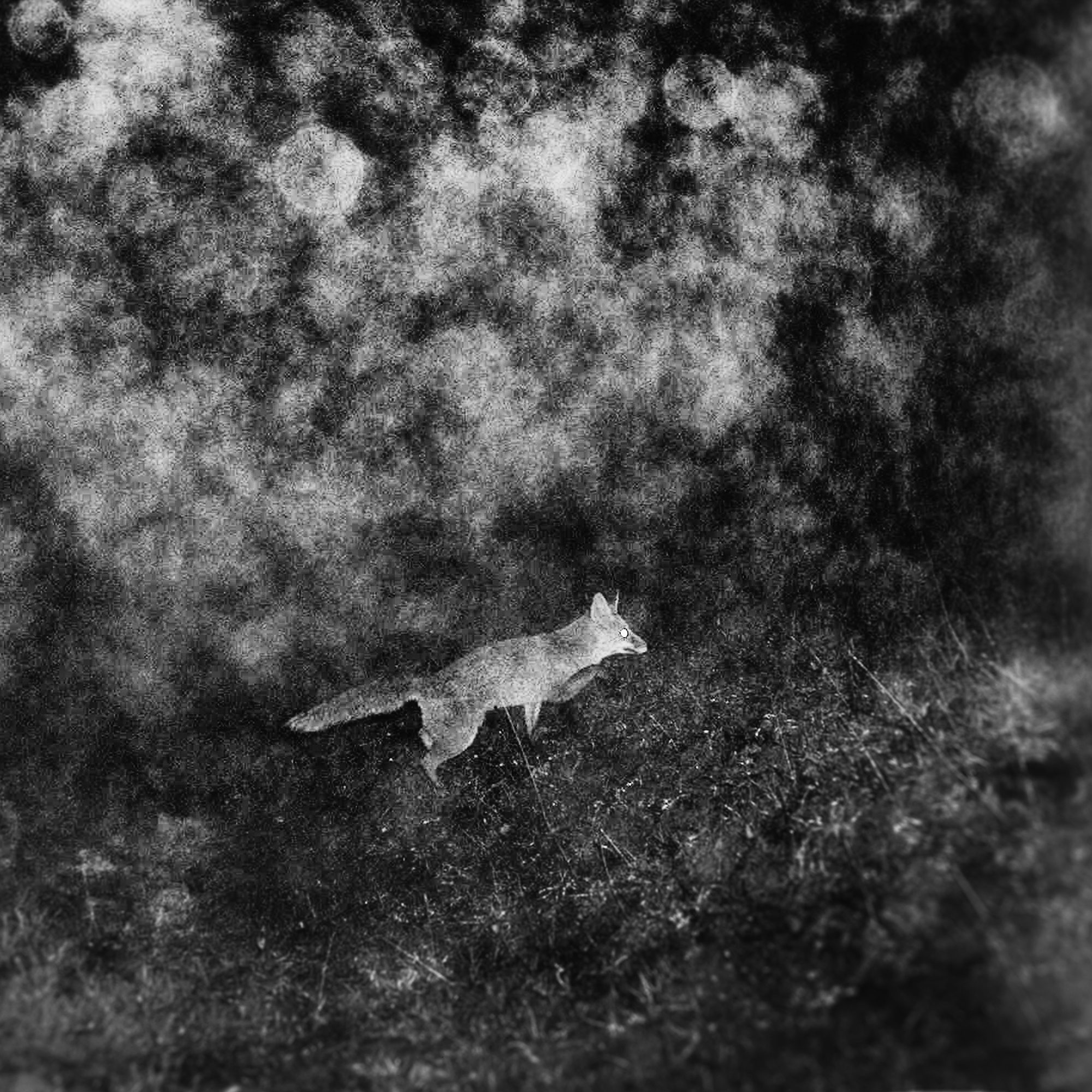 Fisheye Magazine | Inhabitants