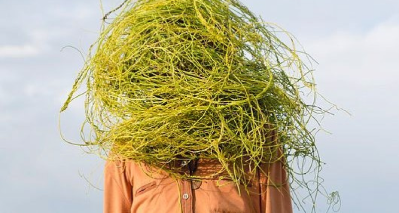Fisheye Magazine | SOPHAL NEAK
