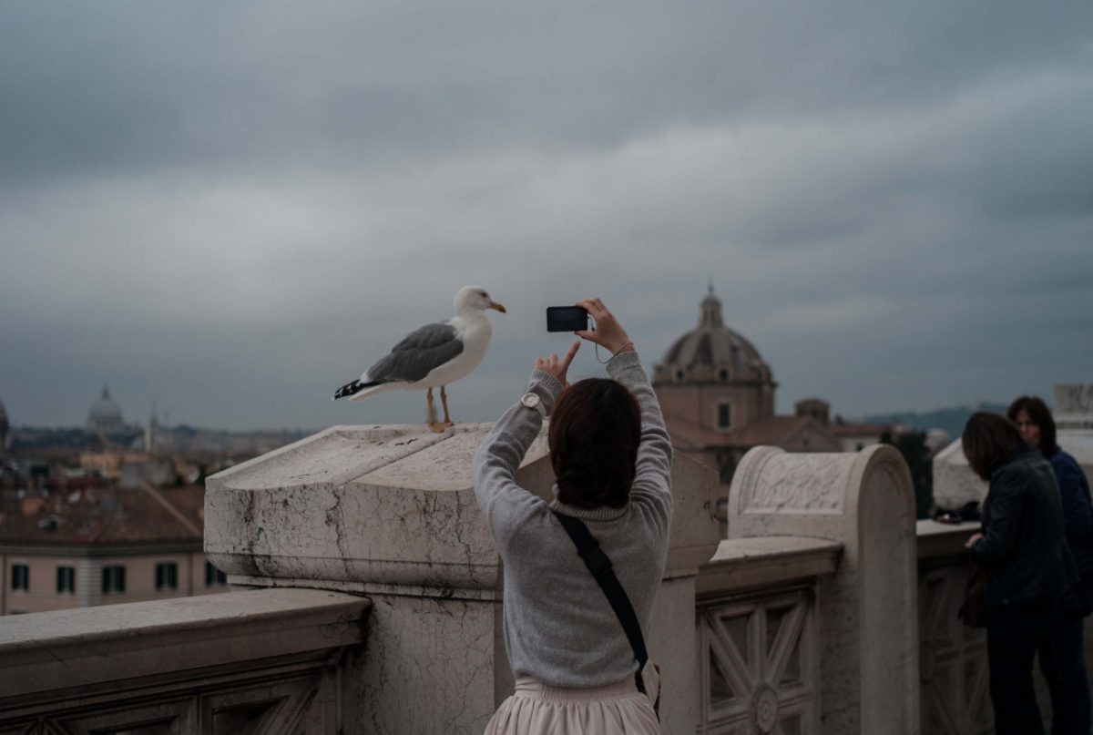 © Yassine Hamrouni 