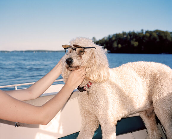 When Harry Met Sally © Brendan George Ko
