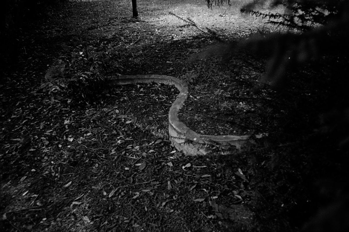 Escriche-Patricia01