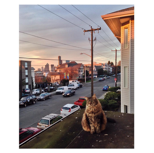 © Jenny Riffle / Instagram 
