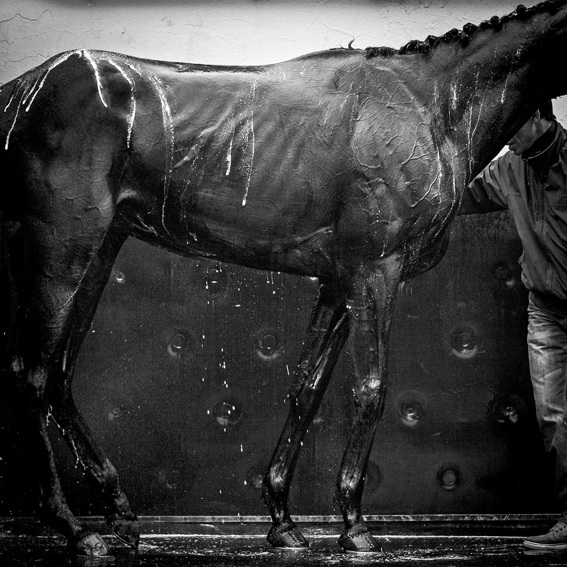 Hippodrome de Vincennes. Janvier 2015, © Bruno Charoy © Festival Sportfolio 2016