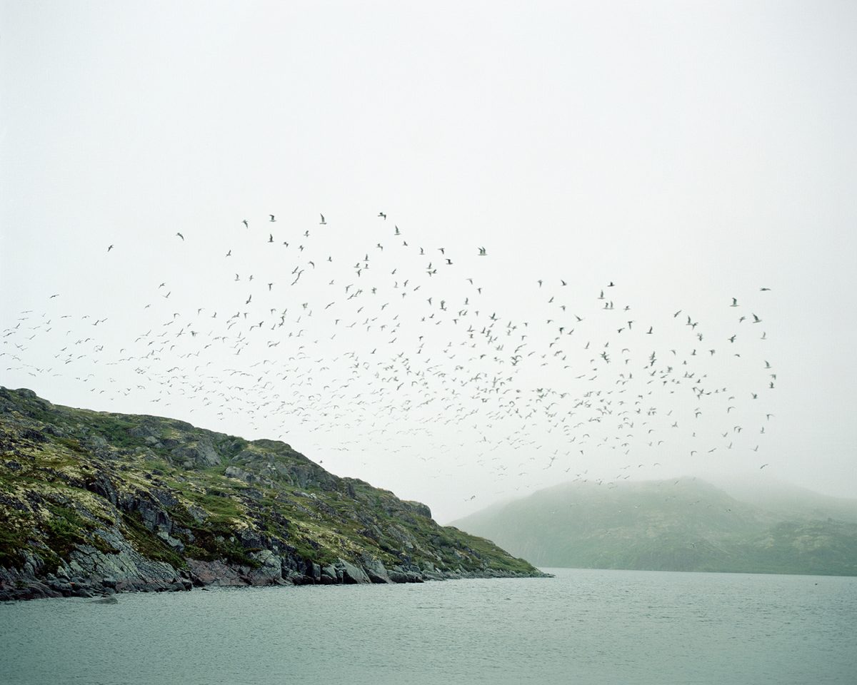 © Natalie Maximova