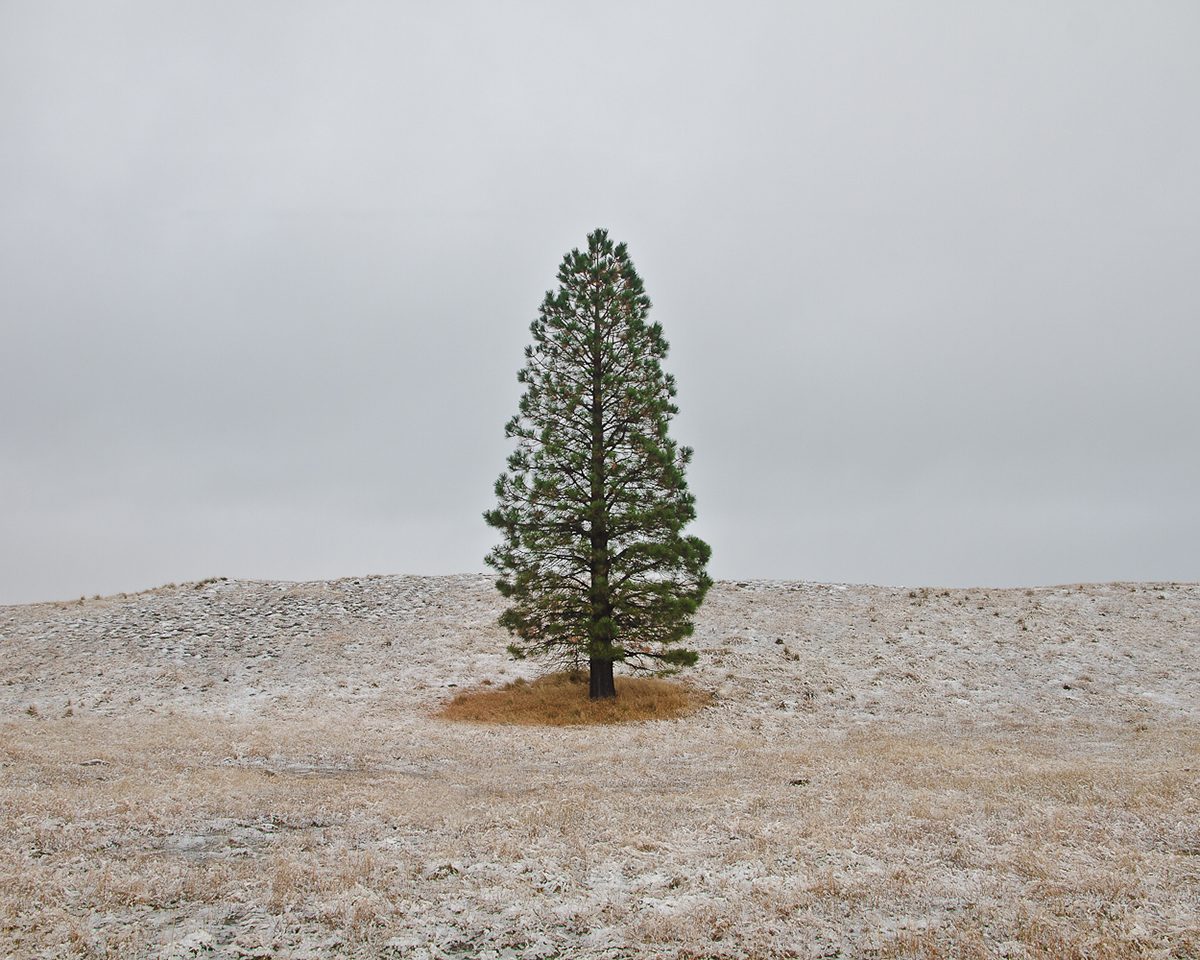 Extrait de "Distant" / © Jacob Howard 