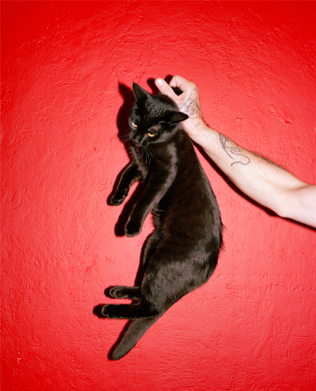 © Jack Bool