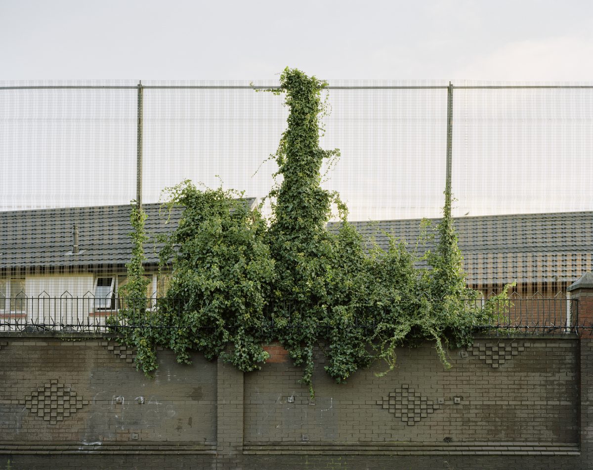 003peacewall_phgrollier