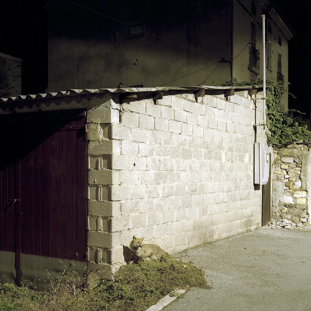 © Marc Cellier 