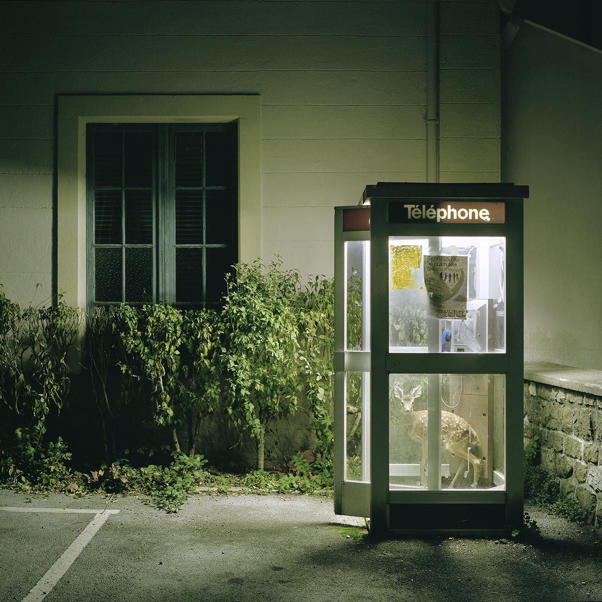 © Marc Cellier 