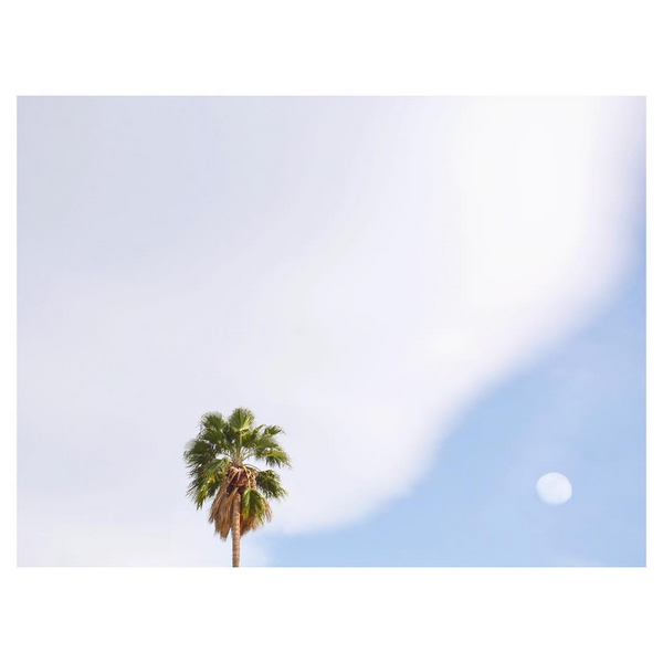 © Hayley Eichenbaum / Instagram 