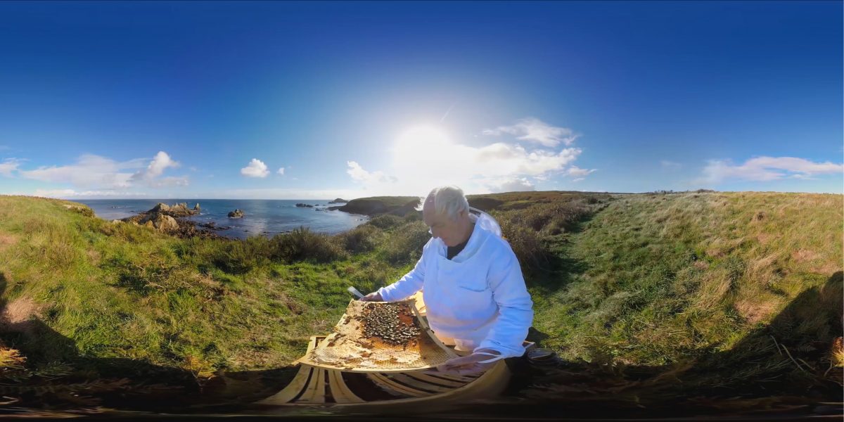 "Ouessant, écrin de l'abeille noire" © Fisheye VR