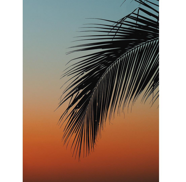 © Kyle Jeffers / Instagram 