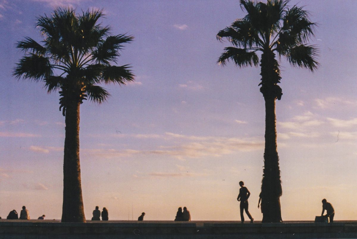 © Matthieu Robin 