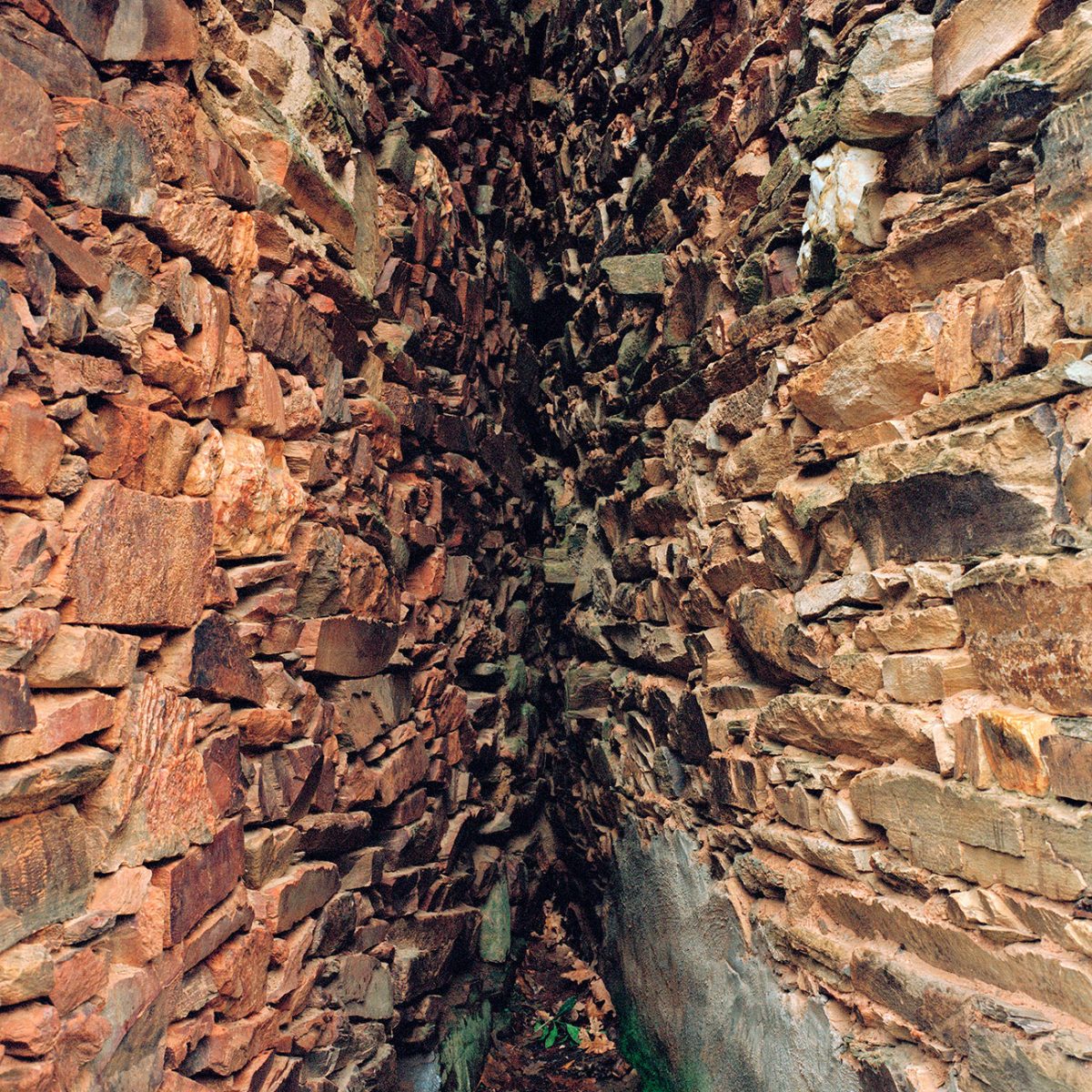 CarlosRuano_Malacontia_03
