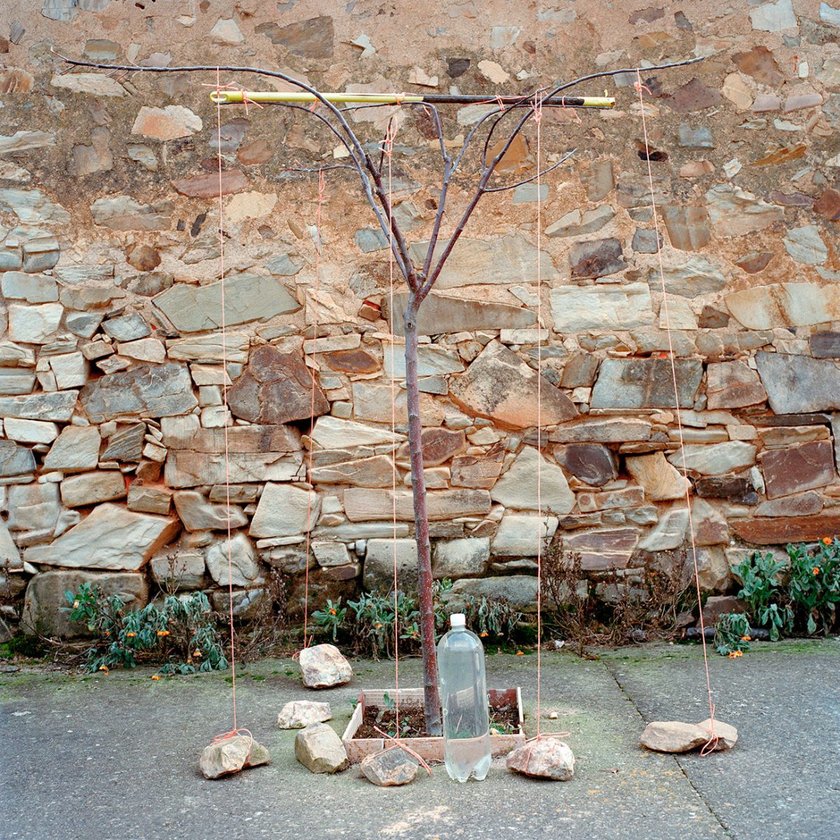 CarlosRuano_Malacontia_04