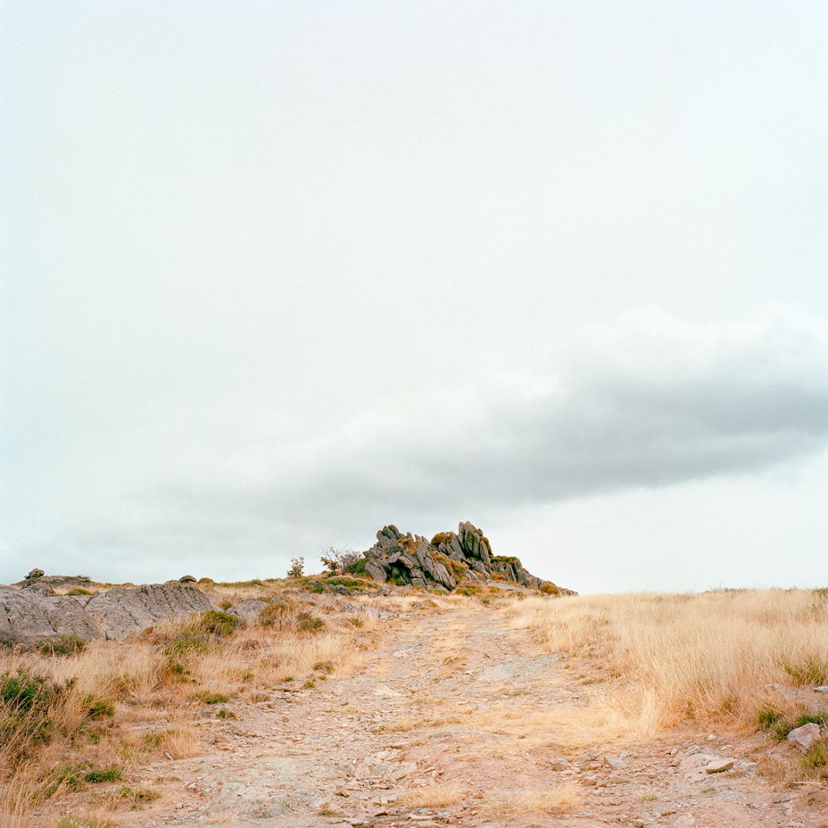 CarlosRuano_Malacontia_11