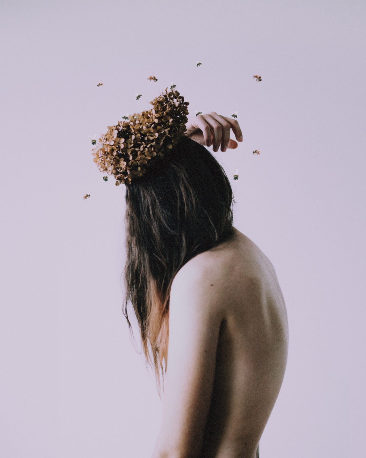 Fisheye Magazine | Growth