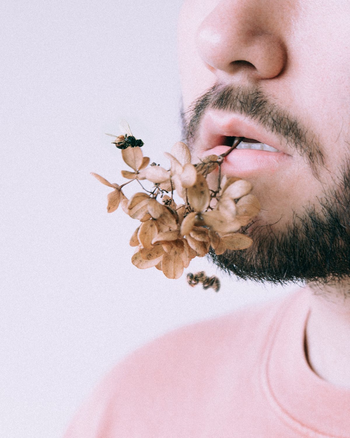 Fisheye Magazine | Growth