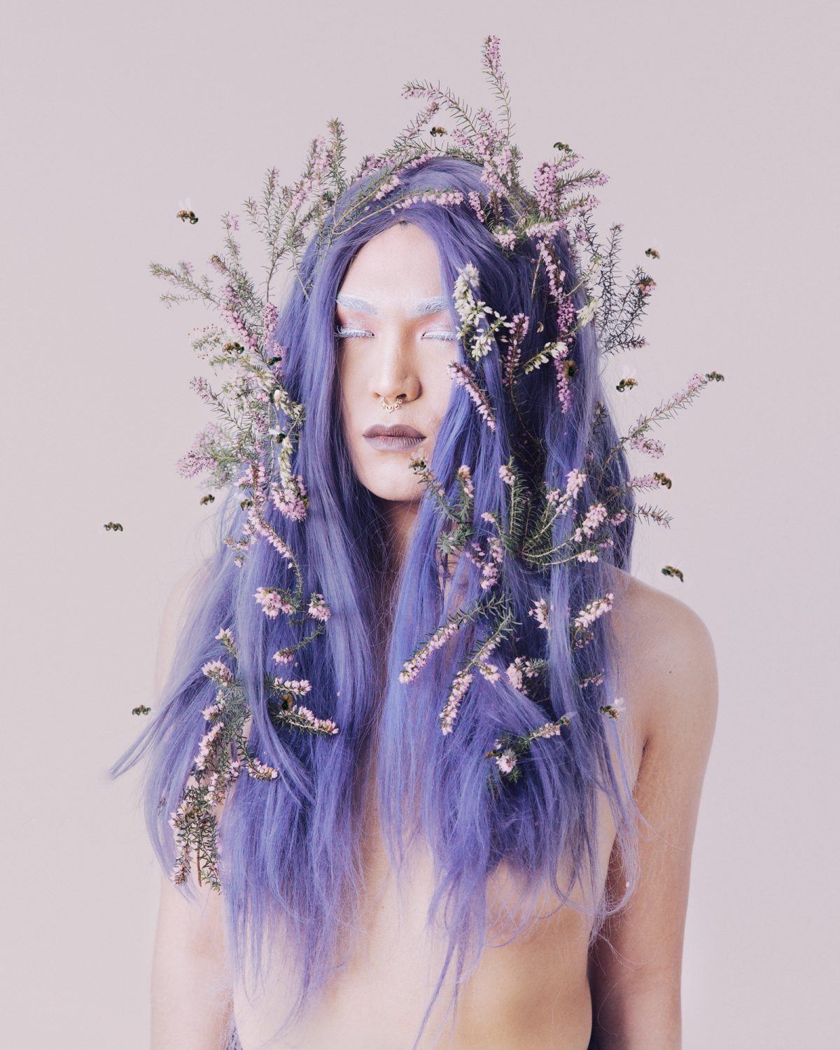 Fisheye Magazine | Growth