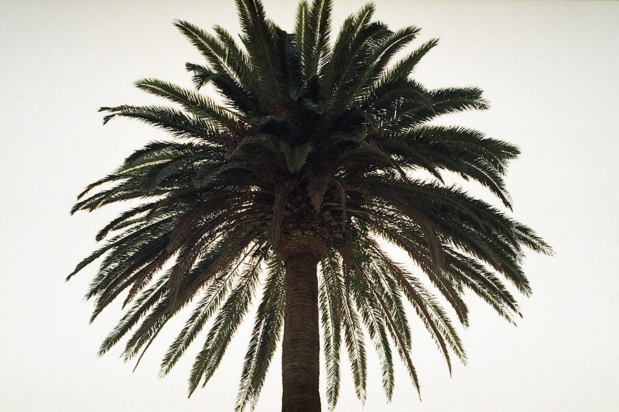 © Marion Bornaz