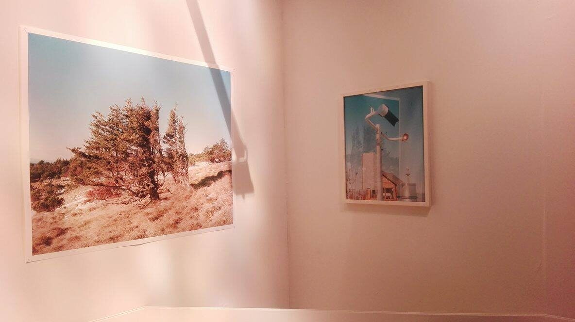 Vue de l'exposition d'Apolline Lamoril, qui a suivi la trace d'une jeune femme morte d'une overdose il y a des années à Bandol.