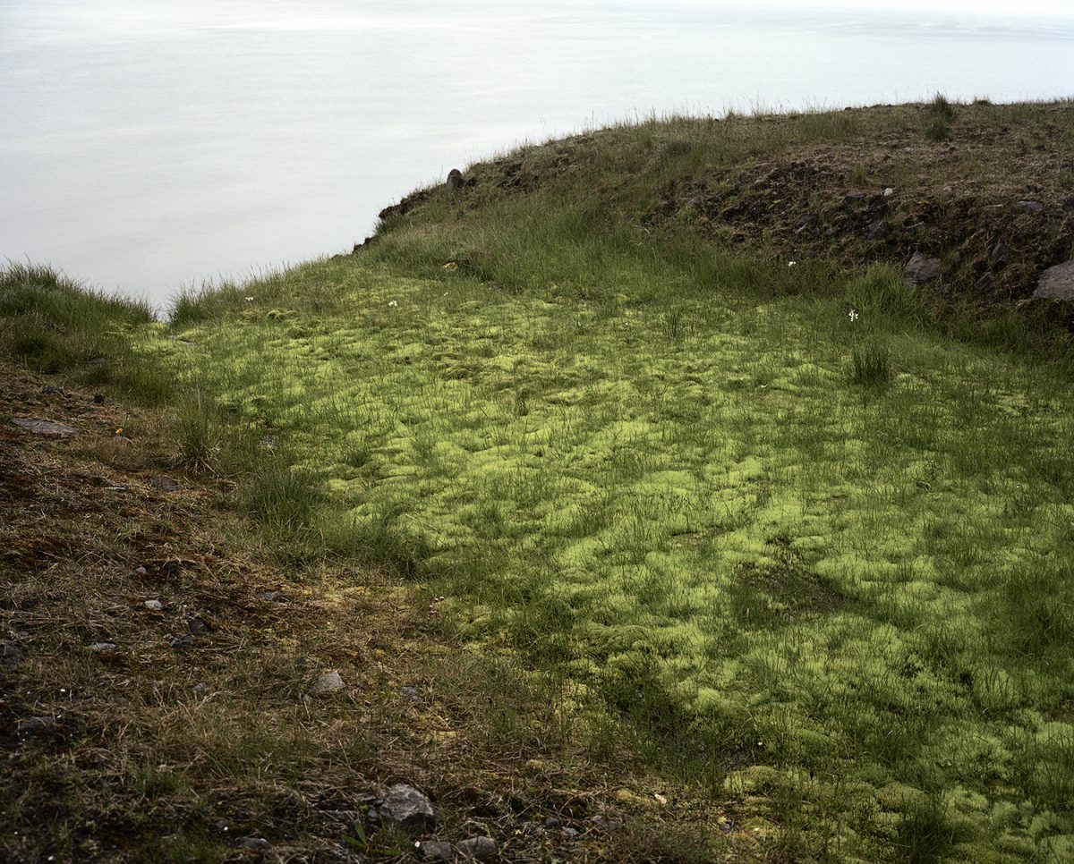 Fisheye Magazine | What Light Remains in the Absence
