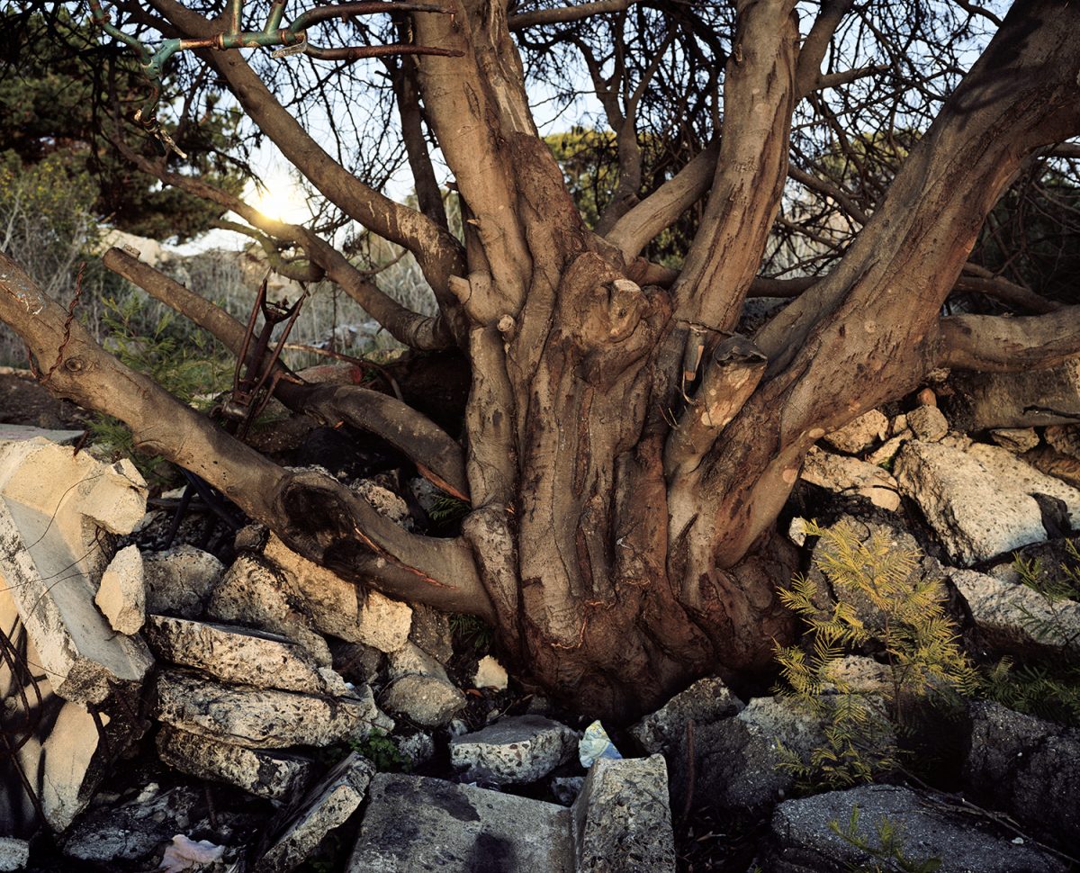 Fisheye Magazine | What Light Remains in the Absence
