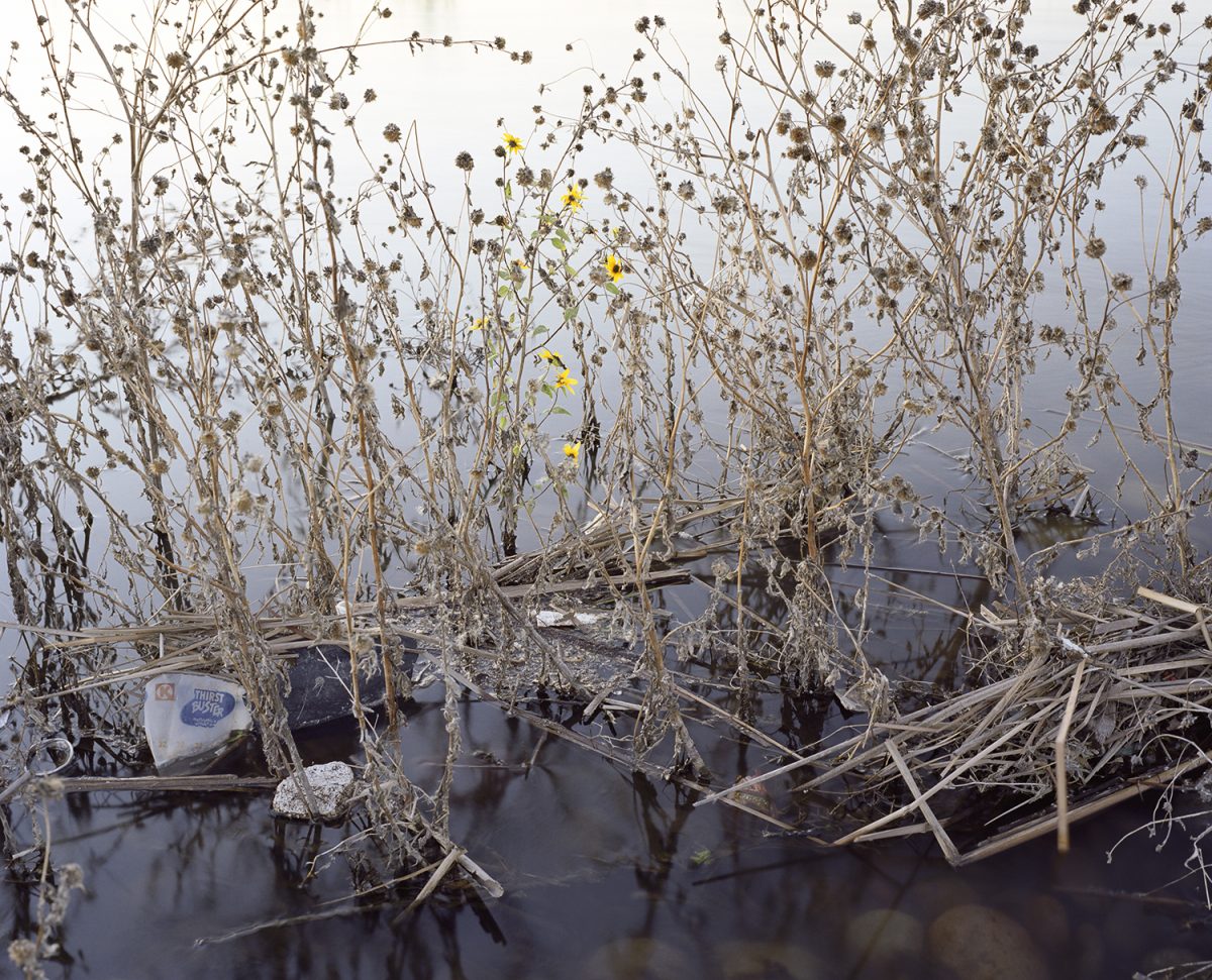 Fisheye Magazine | What Light Remains in the Absence