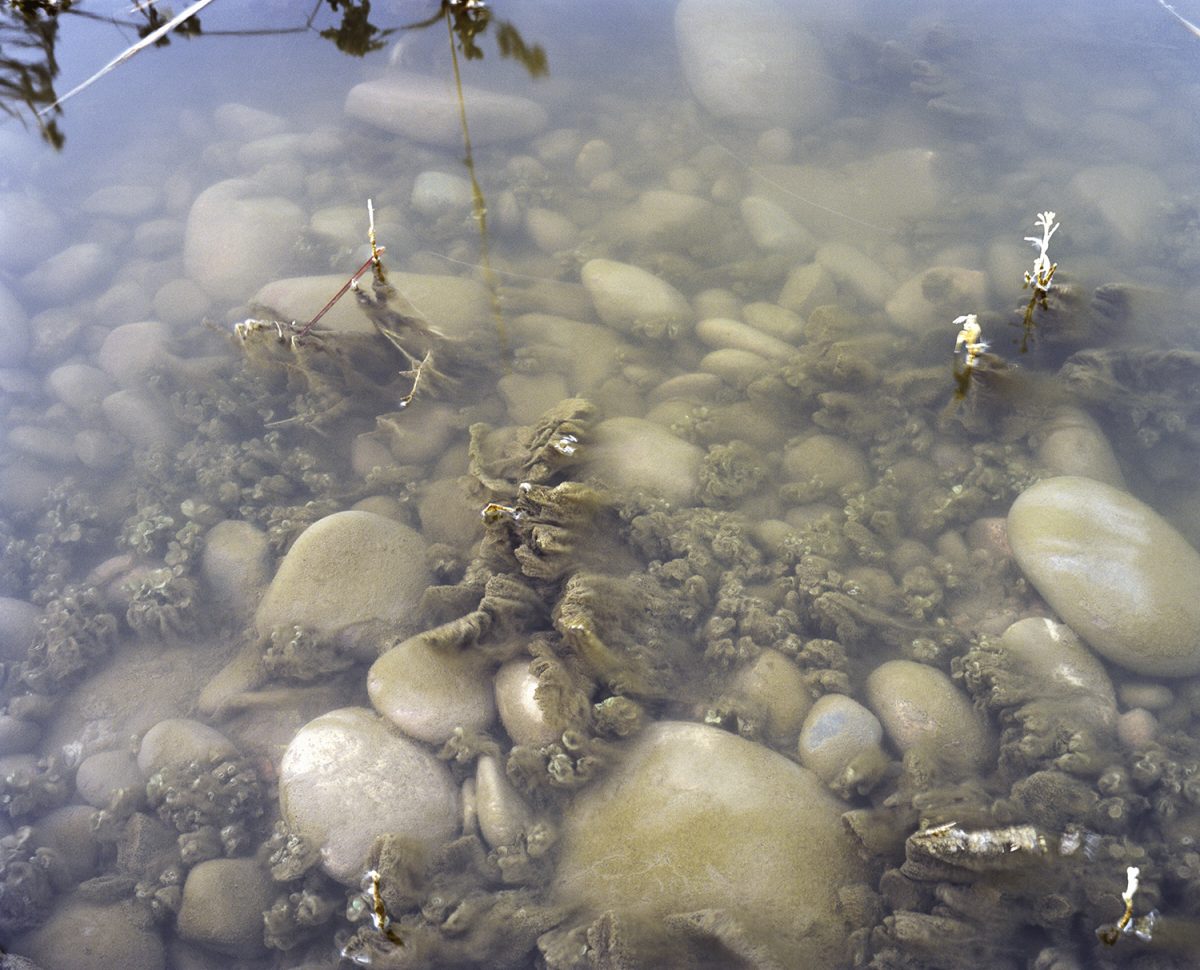 Fisheye Magazine | What Light Remains in the Absence