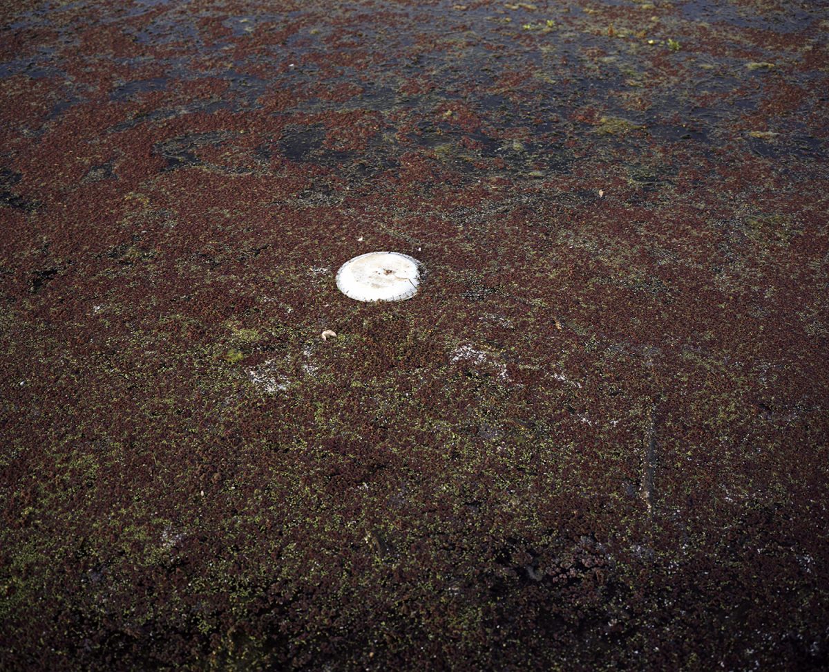 Fisheye Magazine | What Light Remains in the Absence