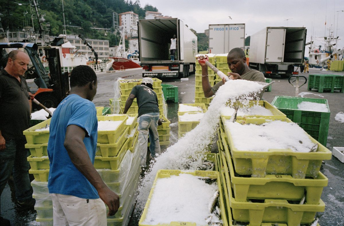 Fisheye Magazine | Mer agitée à agitée