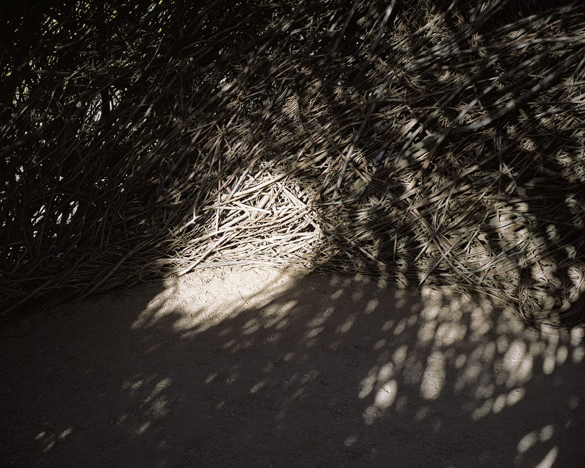 Fisheye Magazine | What Light Remains in the Absence