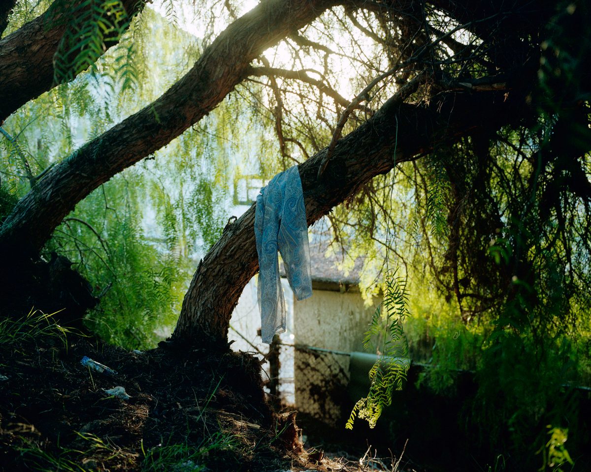 Extrait de "738", © Nicolas Silberfaden