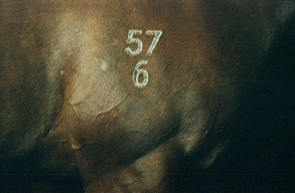 MathildeMagnee_01