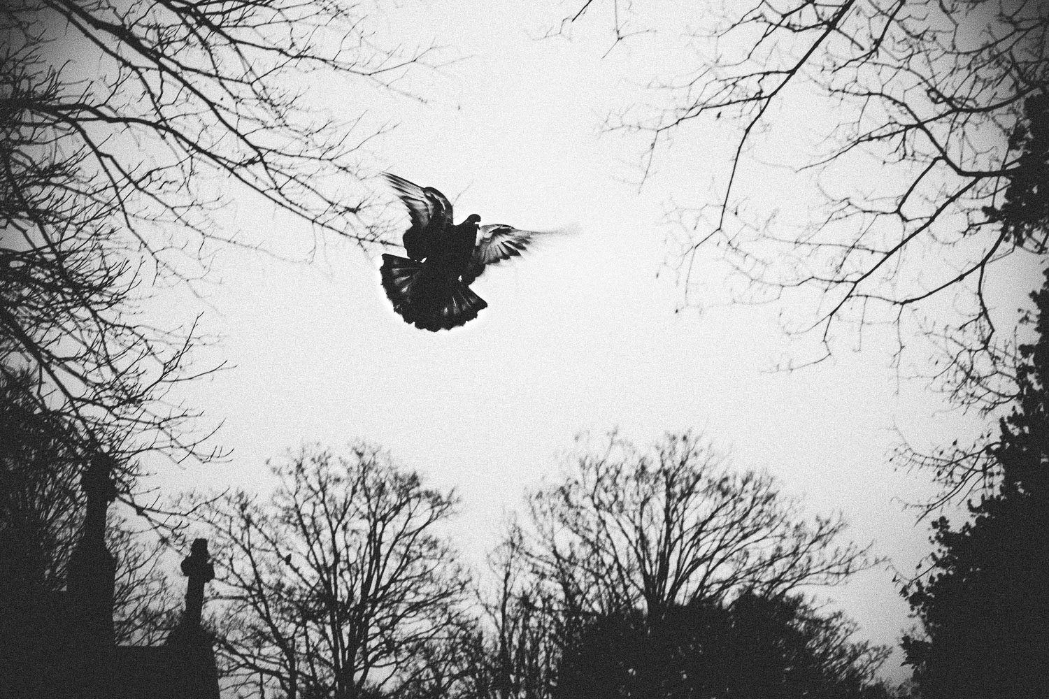 Fisheye Magazine | Memory of some things