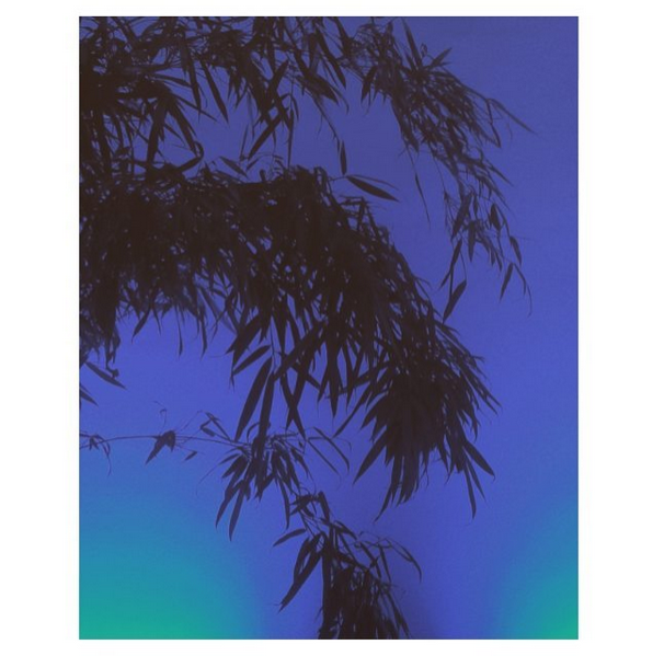 © Helena Ganjalyan / Instagram 