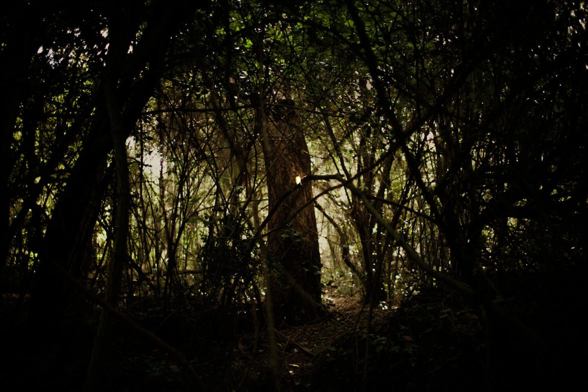 © Eugeni Gay Marín