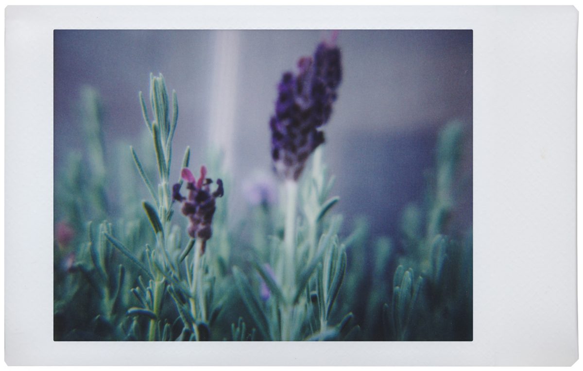 © Diana Oprisescu