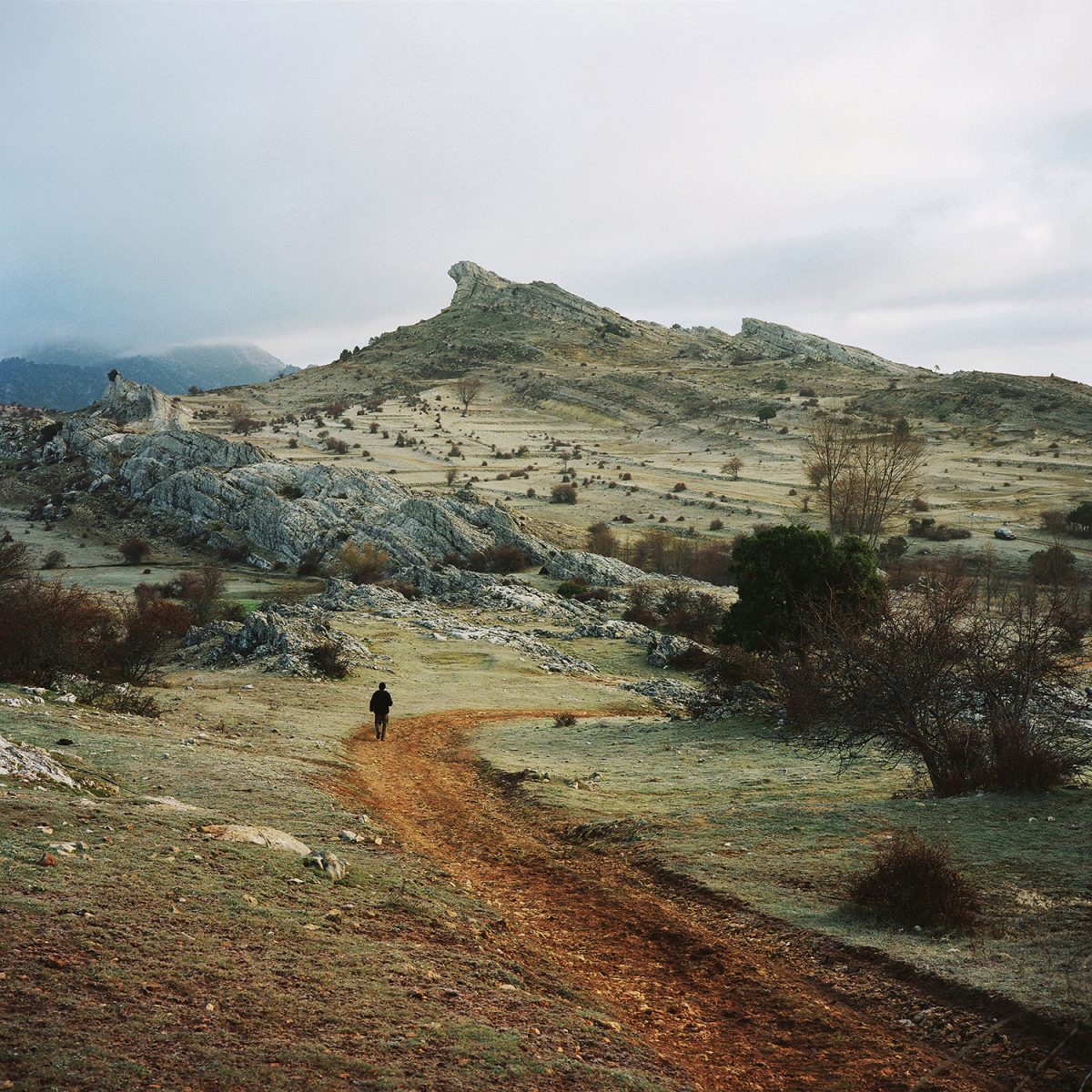 Fisheye Magazine | Scrublands