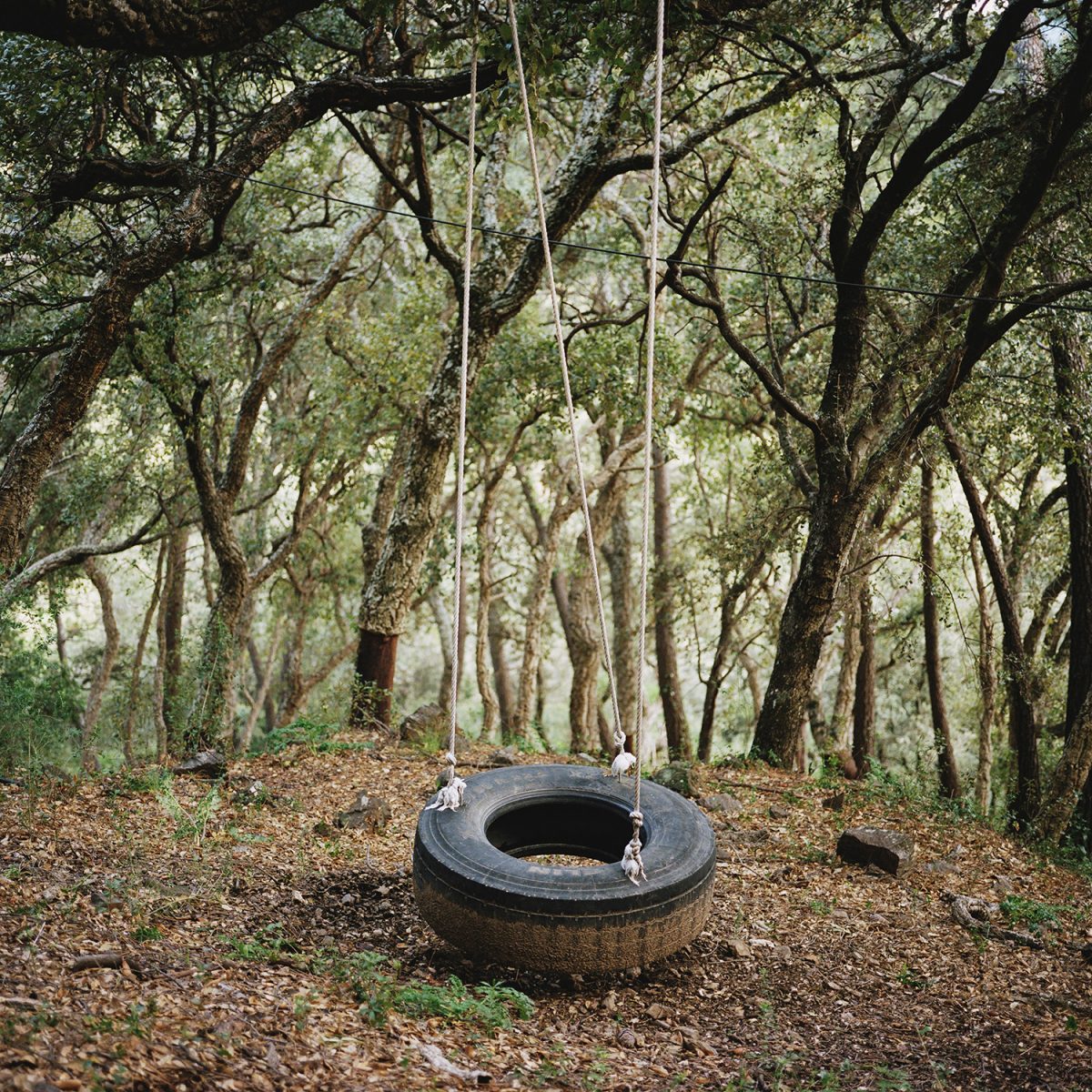 Fisheye Magazine | Scrublands