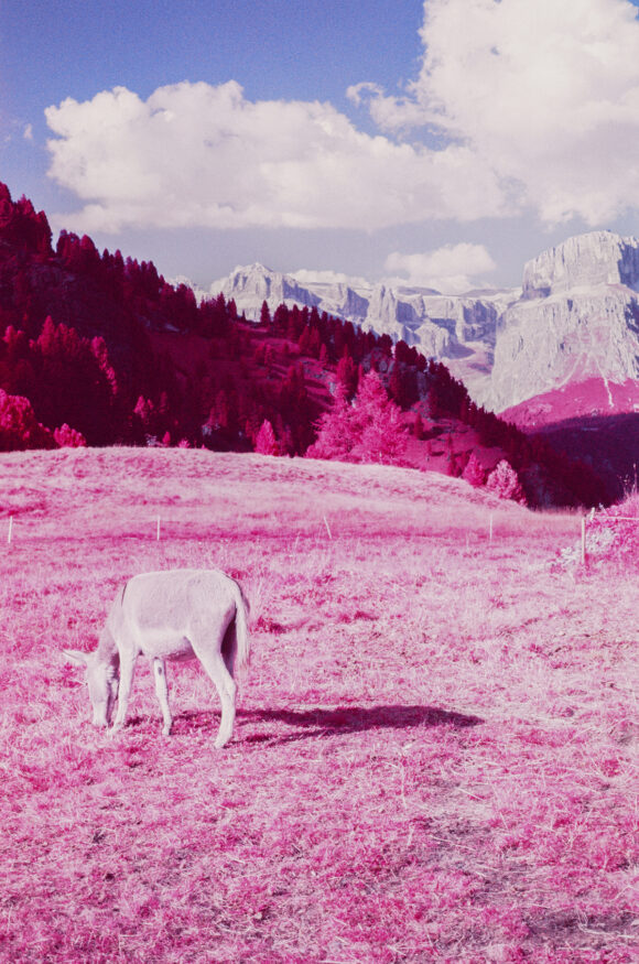 Fisheye Magazine | Paysages en infrarouge