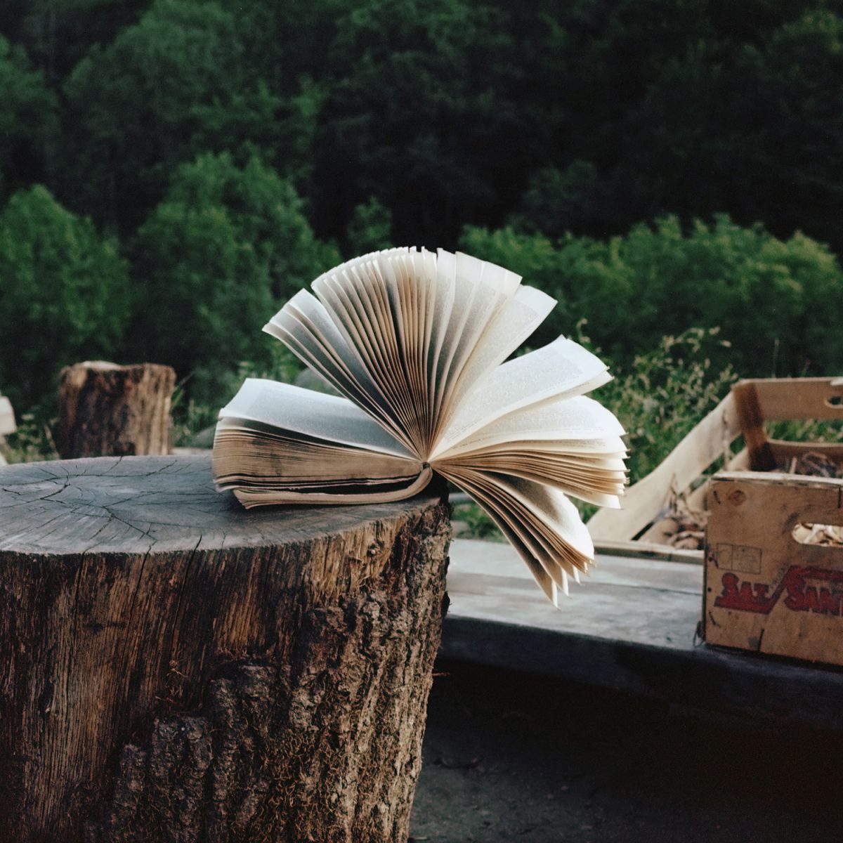 Fisheye Magazine | Scrublands
