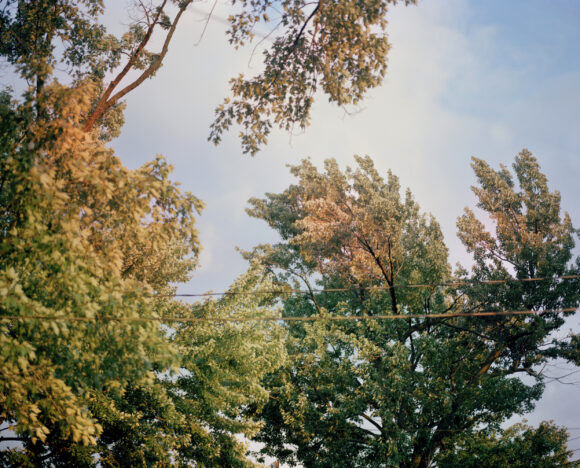 Fisheye Magazine | Jupiter Scoped