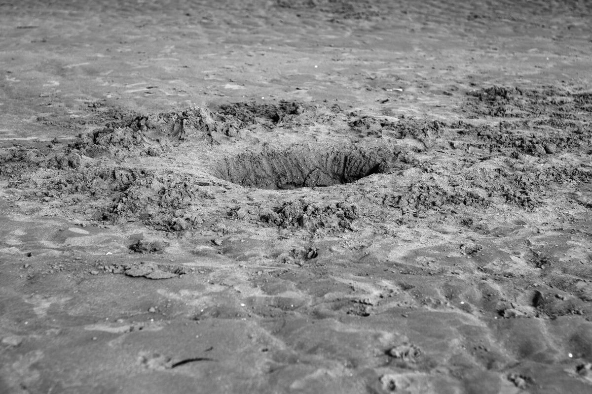 Fish Eye Magazine | Dans la semaine de Fisheye : du 24 au 30 octobre