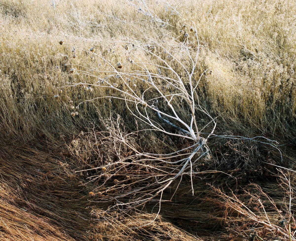 Fish Eye Magazine | Sur la piste de l'Oregon